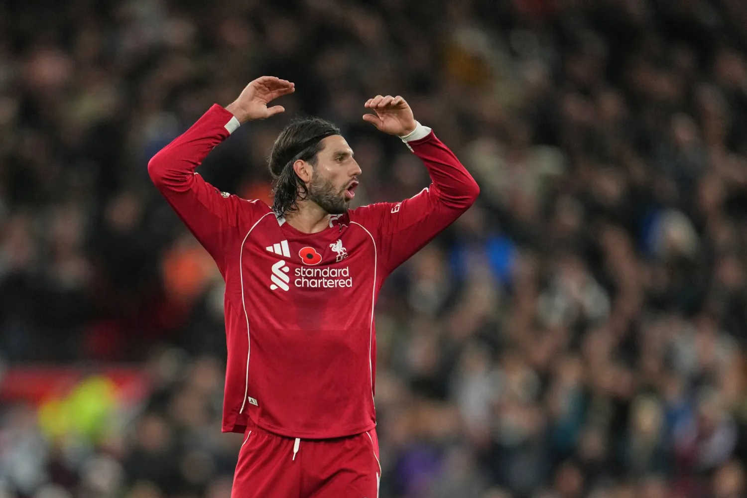 دومينيك سوبوسلاي