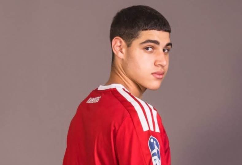 محمود الشوبكي