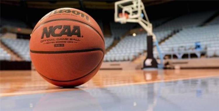 الاتحاد المصري لكرة السلة