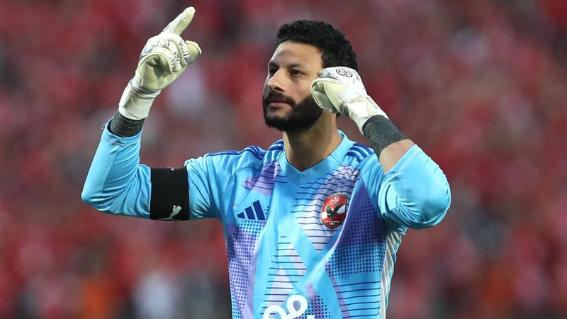 محمد الشناوي