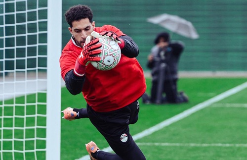 مصطفى شوبير