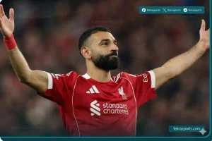 الدولي المصري